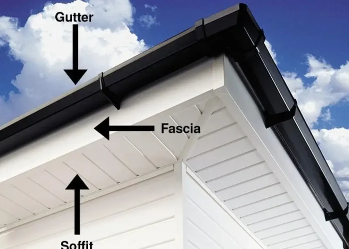 Imagen de WhatsApp 2025-10-11 a las 12.44.01_46360eb0 Imagen de WhatsApp 2025-10-11 a las 12.44.01_46360eb0